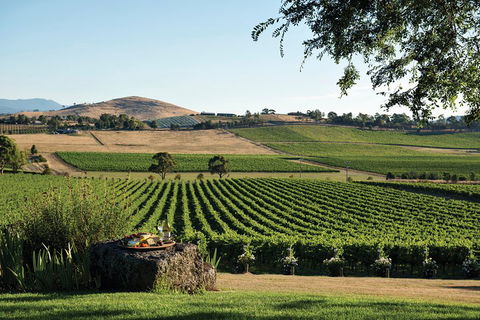 Yarra Valley 2-6 Guests Premium Food And Wine Inc Lunch At Dominique Portet - Attractions Melbourne 2
