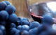 Yarra Valley 2-6 Guests Premium Food And Wine Inc Lunch At Dominique Portet - thumb 5
