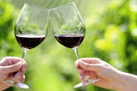 Yarra Valley Premium Tour Inc Lunch And Cheese And Wine Pairing At De Bortoli - Attractions Melbourne 5