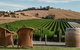 Yarra Valley 2-6 Guests With Lunch And Gin Tasting At Four Pillars - thumb 5