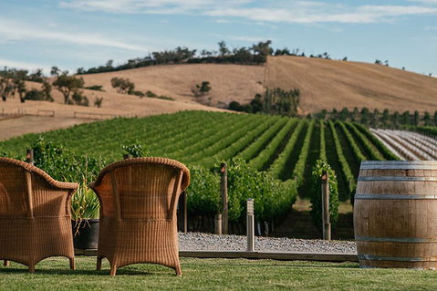 Yarra Valley 2-6 Guests With Lunch And Gin Tasting At Four Pillars - Attractions Melbourne 5