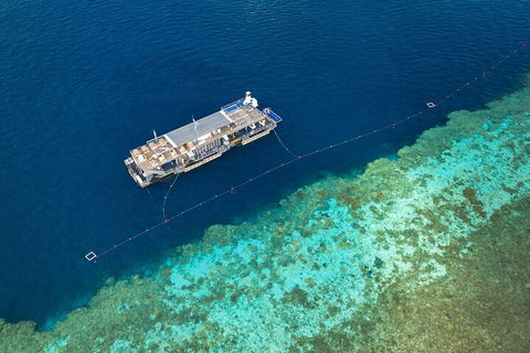 Great Barrier Reef Day Cruise To Reefworld - Attractions Melbourne 2