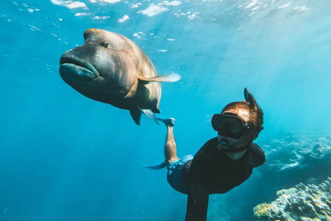 Great Barrier Reef Day Cruise To Reefworld - Attractions Melbourne 3
