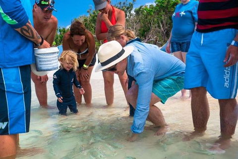 Whitehaven Beach And Hamilton Island Cruise - Attractions Melbourne 1