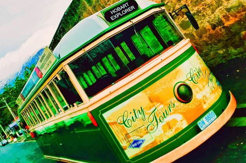 Hobart Half-Day Sightseeing Coach Tram Tour - Attractions Melbourne 5