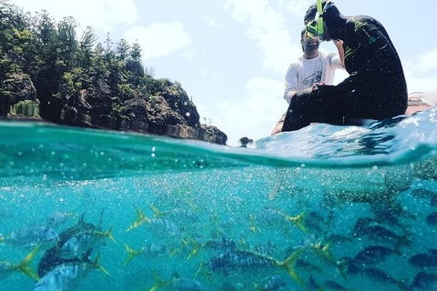 2 Night Small Group Whitsundays Sailing Adventure Aboard Mandrake - Attractions Melbourne 5