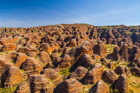 Bungle Bungle Explorer - Attractions Melbourne 1