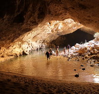 Windjana Explorer - Attractions Melbourne