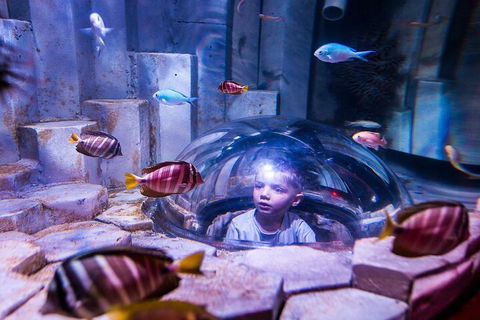 Melbourne BIG Ticket - LEGOLAND Discovery And SEA LIFE Melbourne - Attractions Melbourne 5