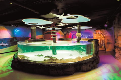 SEA LIFE Melbourne Aquarium Admission Ticket - Attractions Melbourne 5