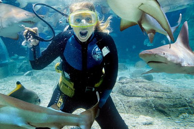 Shark Dive Experience at SEA LIFE Melbourne Aquarium