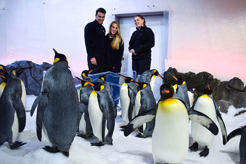 Penguin Passport At SEA LIFE Melbourne Aquarium - Attractions Melbourne 4