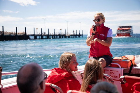 Adventure Rottnest Tour With Ferry & Adventure Cruise From Perth Or Fremantle - Attractions Melbourne 4