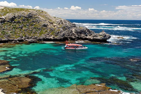Adventure Rottnest Tour With Ferry & Adventure Cruise From Perth Or Fremantle - Attractions Melbourne 5