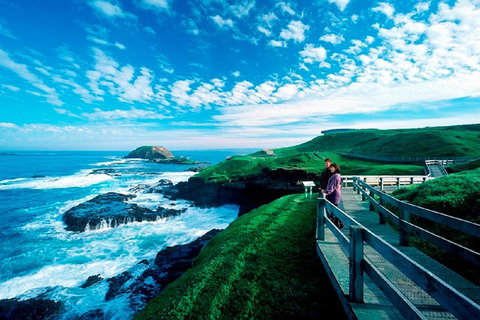 Melbourne Combo: Great Ocean Road + Phillip Island Express + Attraction Pass - Attractions Melbourne 1