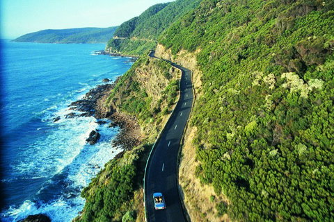 Melbourne Combo: Great Ocean Road + Phillip Island Express + Attraction Pass - Attractions Melbourne 4