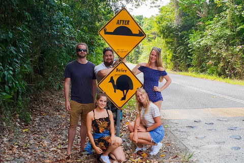 Cape Tribulation, Daintree Rainforest And Wildlife Tour - Attractions Melbourne 0