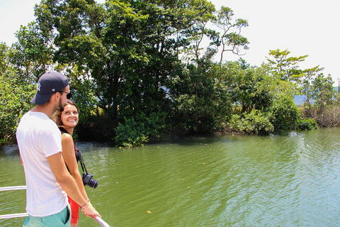Cape Tribulation, Daintree Rainforest And Wildlife Tour - Attractions Melbourne 2