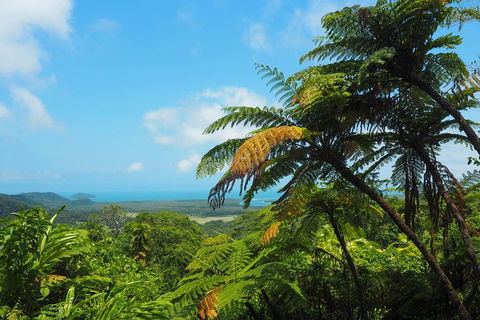 Cape Tribulation, Daintree Rainforest And Wildlife Tour - Attractions Melbourne 3