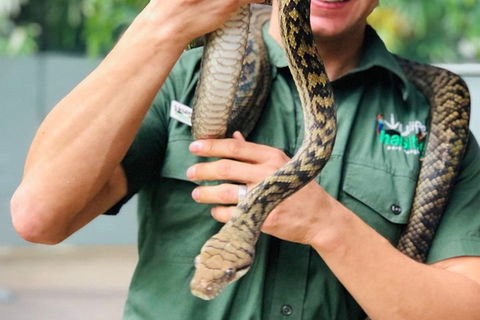Virtual Interactive Australian Wildlife Tour With Private Guide-Wildlife Habitat - Attractions Melbourne 1