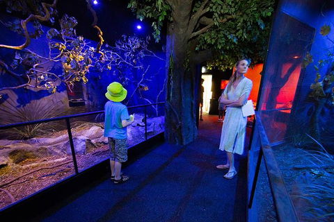 Wildlife Habitat Port Douglas - Attractions Melbourne 4