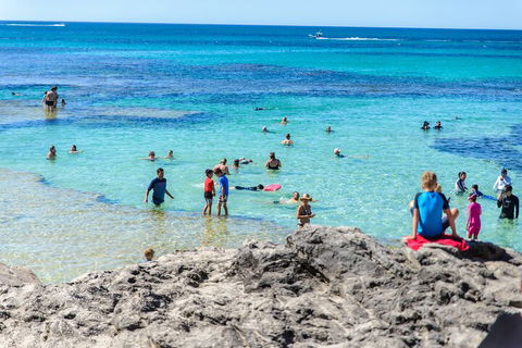 Rottnest Island Roundtrip Fast Ferry From Hillarys Boat Harbour - Attractions Melbourne 1