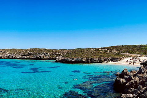 Rottnest Island Roundtrip Fast Ferry From Hillarys Boat Harbour - Attractions Melbourne 4