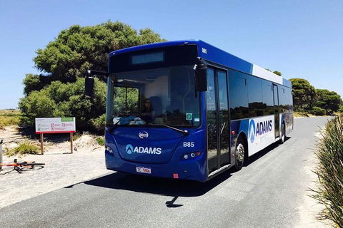 Rottnest Bayseeker Bus Tour From Hillarys Boat Harbour - Attractions Melbourne 0