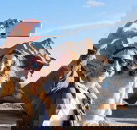 Full-Day Kangaroo Island Experience Departing from Kangaroo Island - Attractions Melbourne