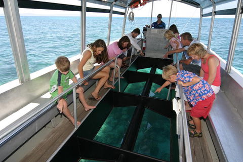 Cairns City Sights And Surrounds Tour - Attractions Melbourne 5
