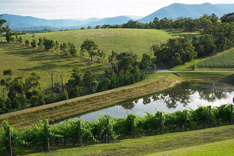 CHEVY CONVERTIBLE Package For 2 People- Wine Lunch Cheese & Chocolate From Melb. - Attractions Melbourne 0