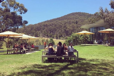 Yarra Valley Wine and Cider Tours by Classic Convertibles from Melbourne