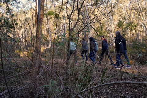 Wild Australian Wildlife 4WD Tour From Sydney - Attractions Melbourne 0