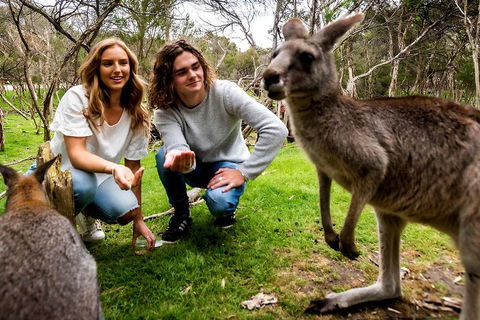 Moonlit Sanctuary Wildlife Conservation Park Daytime General Entry Ticket - Attractions Melbourne 2