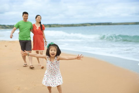 Phillip Island Penguin Parade Day Trip With Koala Conservation Reserve Visit - Attractions Melbourne 5