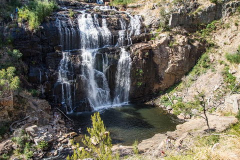 Grampians National Park With Kangaroos And MacKenzie Falls From Melbourne - Attractions Melbourne 1