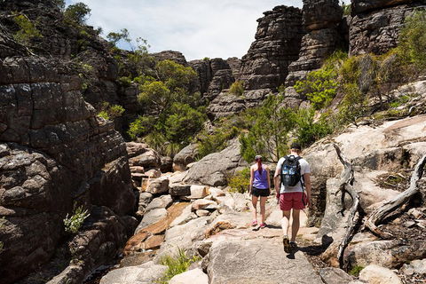 Grampians National Park With Kangaroos And MacKenzie Falls From Melbourne - Attractions Melbourne 3
