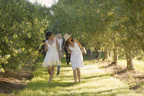 Yarra Valley Wine Tour With Local Harvest Tastings From Melbourne - Attractions Melbourne 0