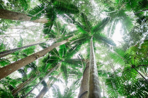 Fraser Explorer K'gari 2-Day Tour - Attractions Melbourne 2