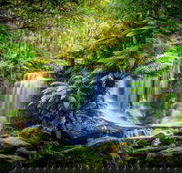 Day Tour in Mt. Field Mt. Wellington Bonorong Wildlife Sanctuary and Richmond - Attractions Melbourne