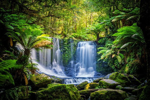 Day Tour In Mt. Field, Mt. Wellington, Bonorong Wildlife Sanctuary And Richmond - Attractions Melbourne 0