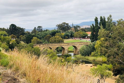 Day Tour In Mt. Field, Mt. Wellington, Bonorong Wildlife Sanctuary And Richmond - Attractions Melbourne 3