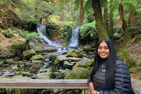 Day Tour In Mt. Field, Mt. Wellington, Bonorong Wildlife Sanctuary And Richmond - Attractions Melbourne 5