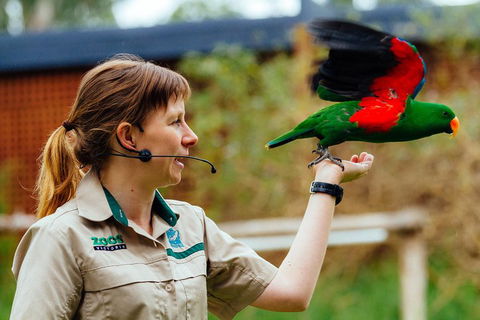 VIP Sanctuary Tour At Healesville Sanctuary Ticket - Attractions Melbourne 0