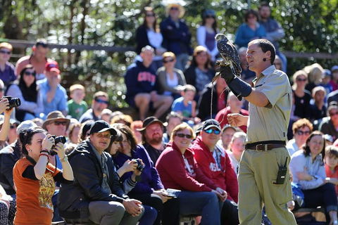 VIP Sanctuary Tour At Healesville Sanctuary Ticket - Attractions Melbourne 4