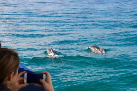 Julian Rocks Byron Bay Cruise - Attractions Melbourne 1
