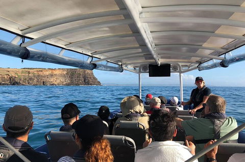 Julian Rocks Byron Bay Cruise - Attractions Melbourne 4