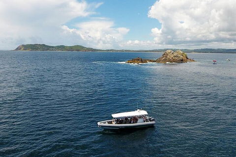 Julian Rocks Byron Bay Cruise - Attractions Melbourne 5