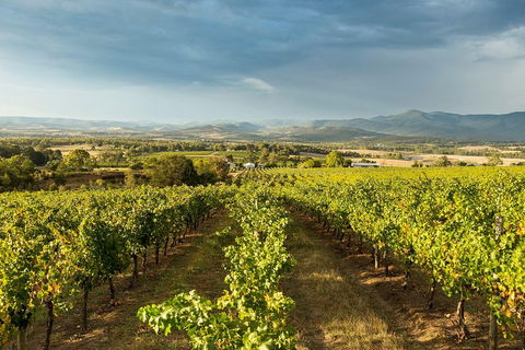 Yarra Valley Local Produce And Wine Tasting Tour - Attractions Melbourne 3