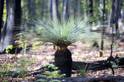 Small-Group Grampians Great Wilderness Escape Day Trip With Hiking - Attractions Melbourne 2